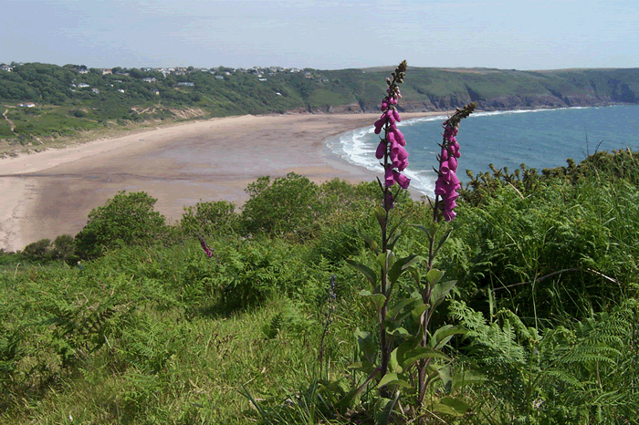 Freshwater East c Linda Asman