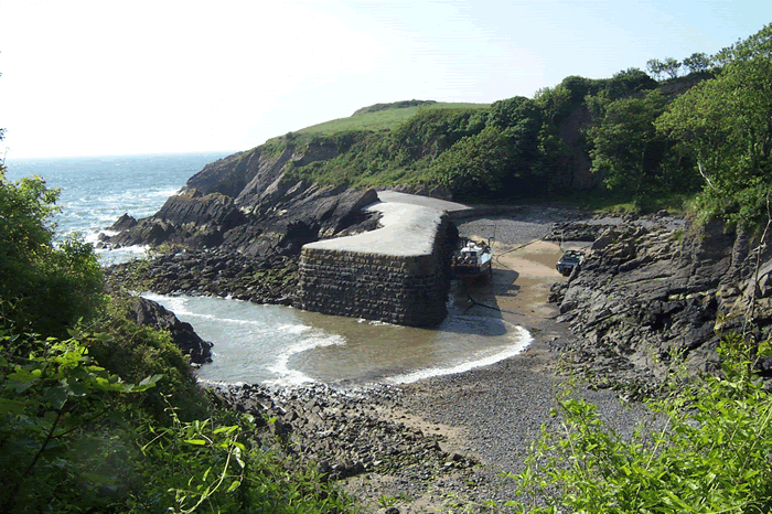 Stackpole Quay c Linda Asman